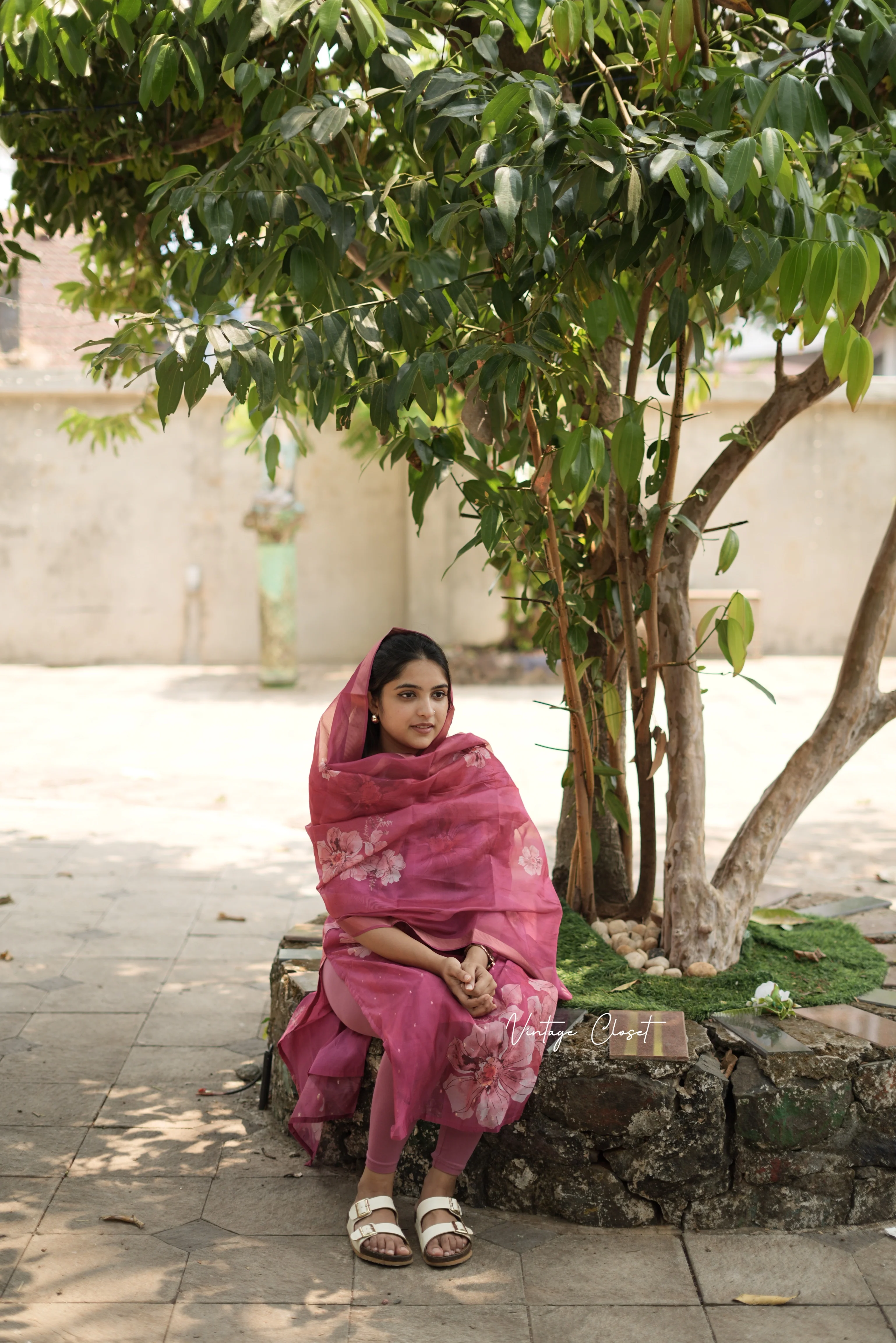 Moshika Pink - Image 5