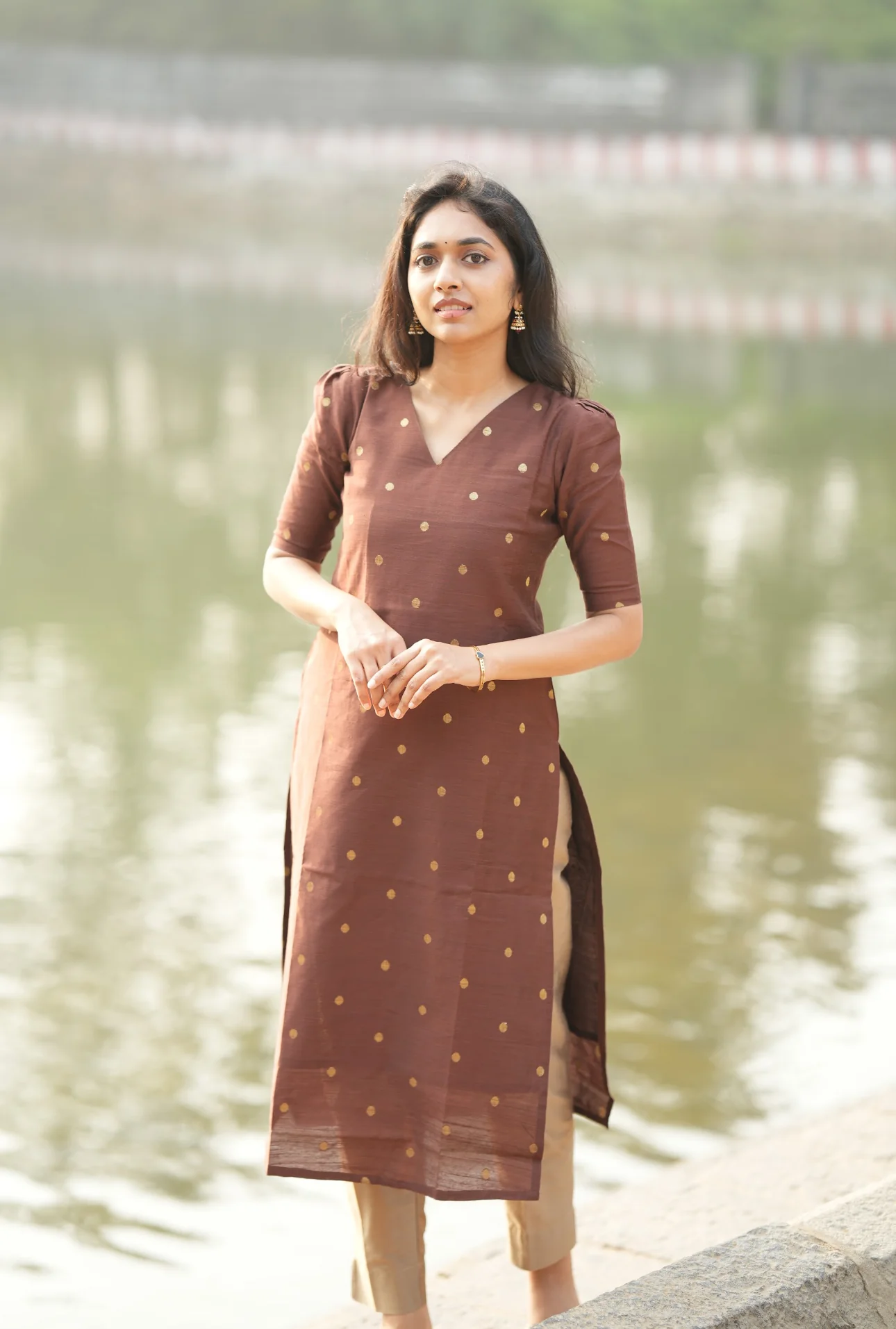 Preethi-Brown - Image 3
