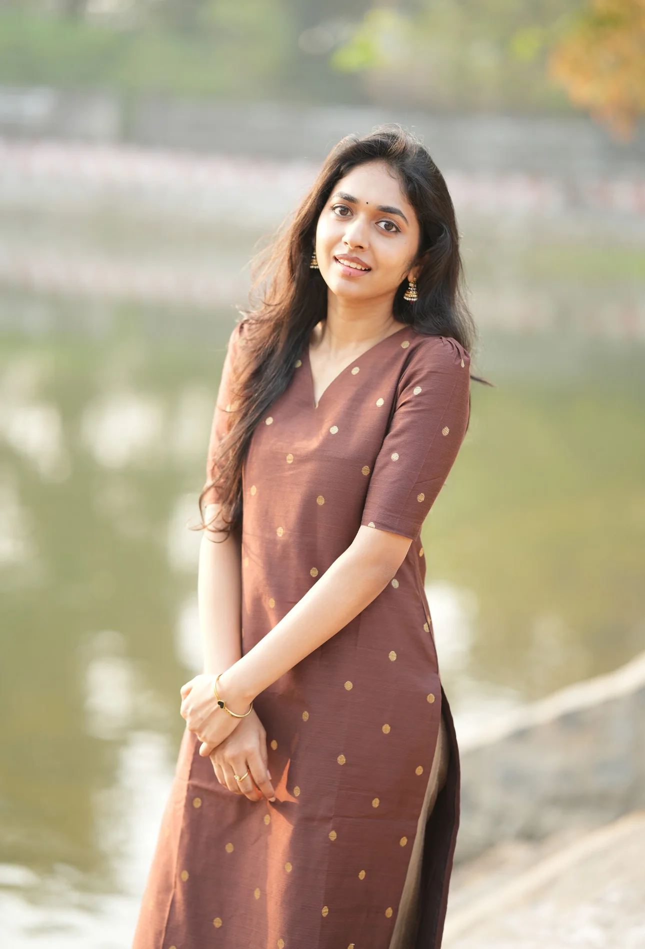 Preethi-Brown - Image 4