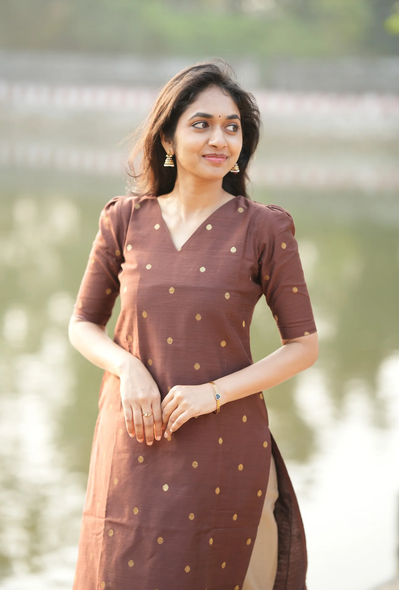 Preethi-Brown - Image 7